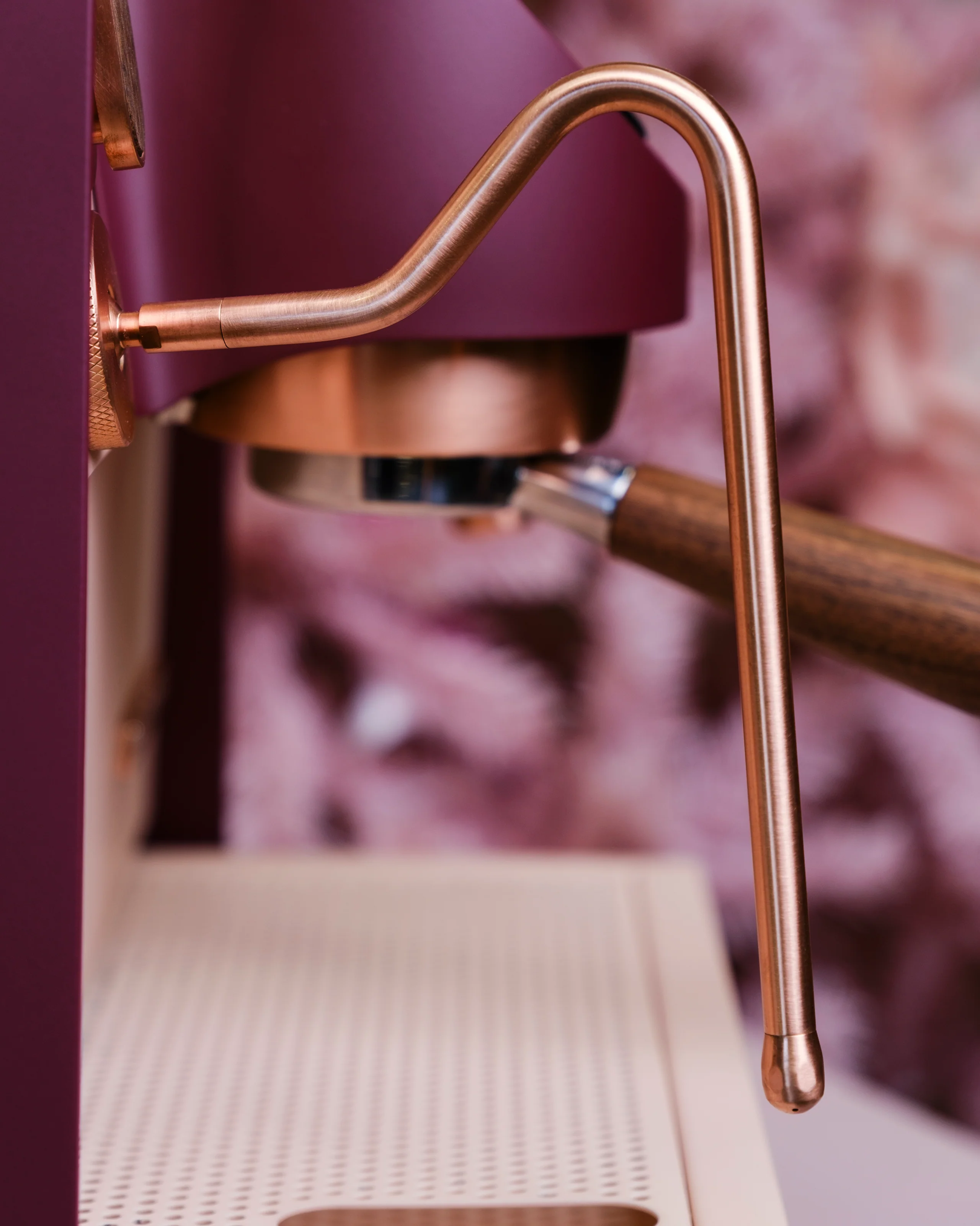 The Sugarplum - E1 Prima - Image 11